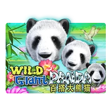 Joker123 : Wild Giant Panda - SUMMER138