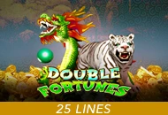 Spadegaming : Double Fortunes - SUMMER138