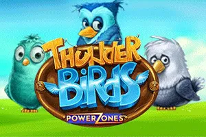 Power Zones: Thunder Birds - SUMMER138