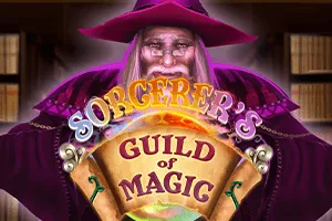Sorcerers Guild of Magic - SUMMER138